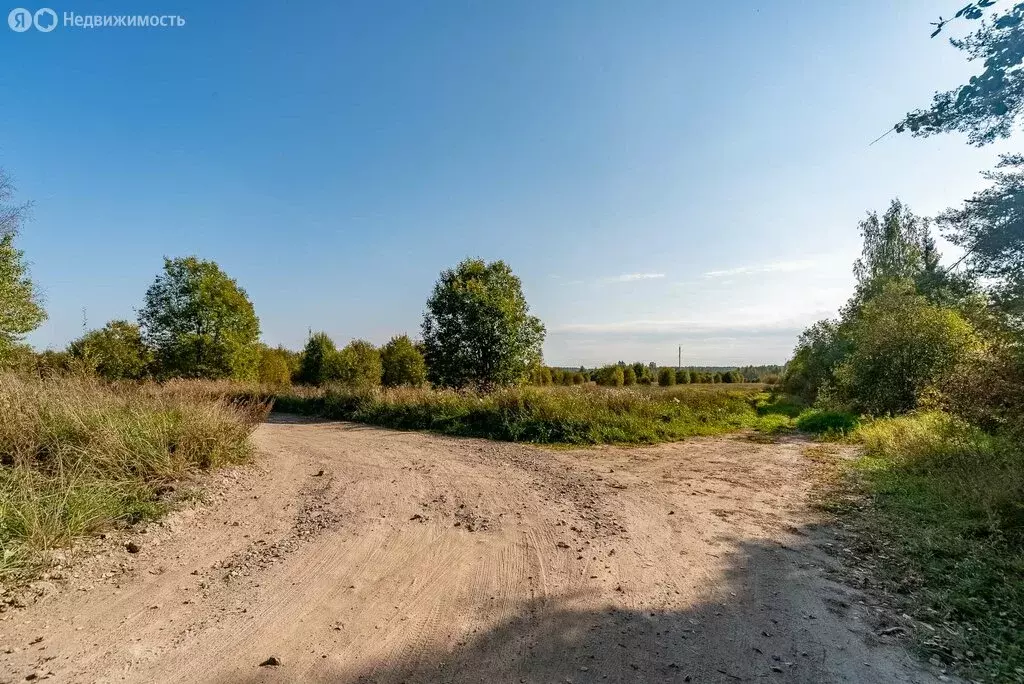 Участок в Пениковское сельское поселение (194.06 м) - Фото 0