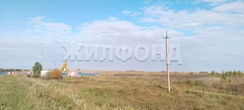 Участок в Новосибирская область, Колывань рп ул. Трактовая (10.0 сот.) - Фото 2