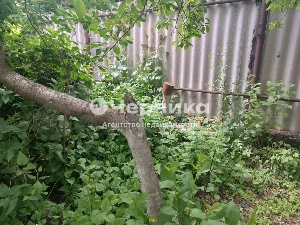 Участок 5,2 сот. (ИЖС) - Фото 1