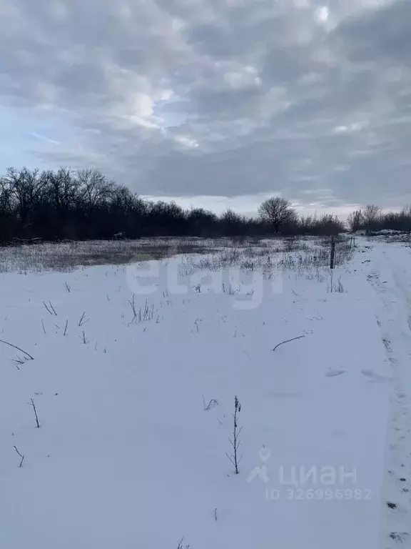 Участок в Ростовская область, Октябрьский район, пос. Персиановский, ... - Фото 1