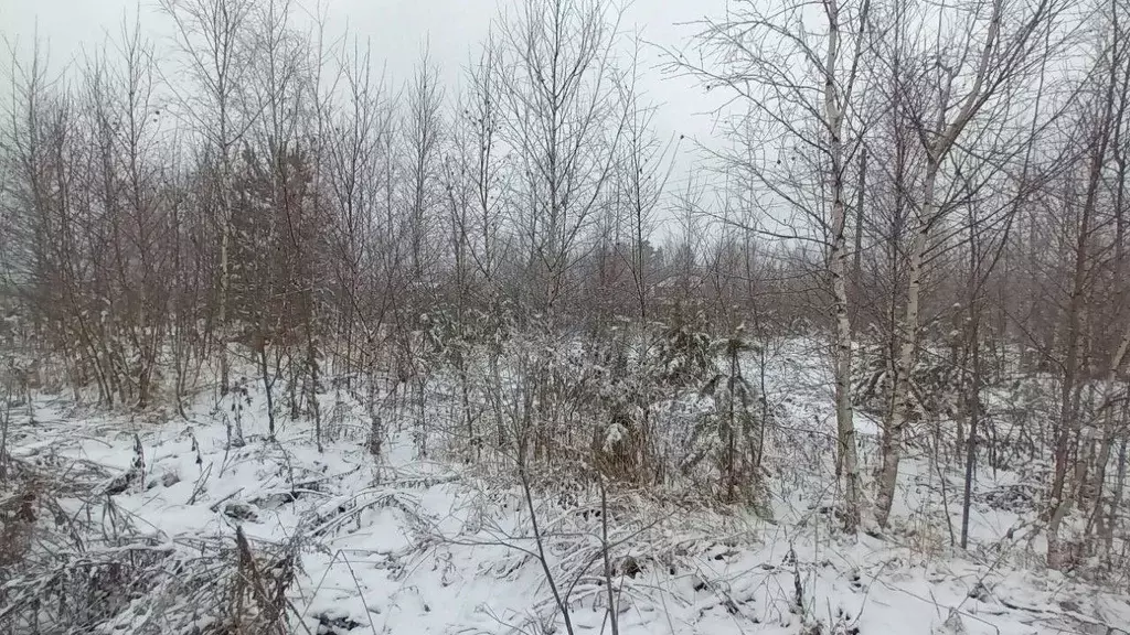 Участок в Московская область, Лосино-Петровский городской округ, д. ... - Фото 0