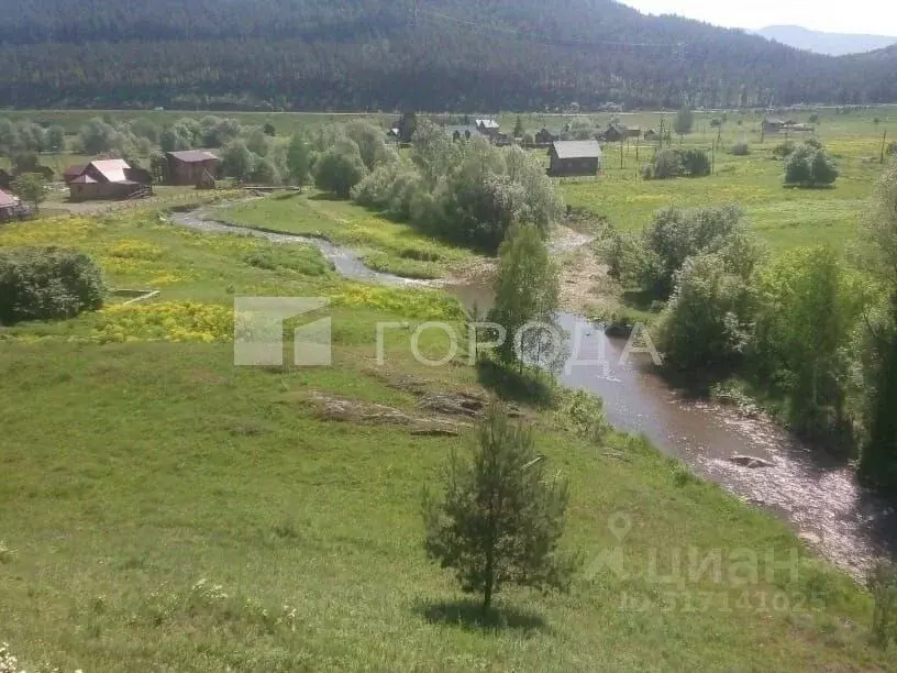 Участок в Алтайский край, Алтайский район, с. Нижнекаянча ул. ... - Фото 1