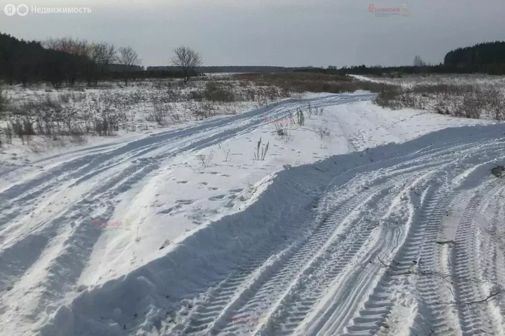 Участок в Свердловская область, Каменский муниципальный округ, село ... - Фото 1