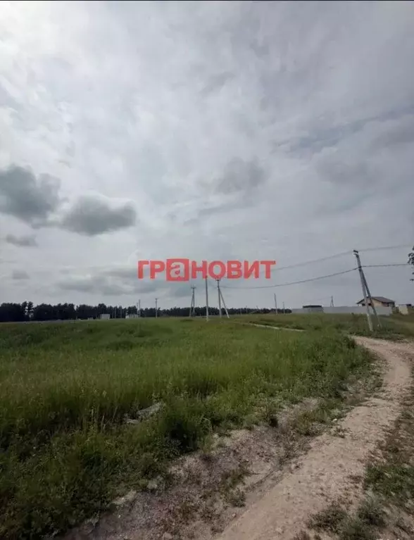 Участок в Новосибирская область, Новосибирский район, Морской ... - Фото 1
