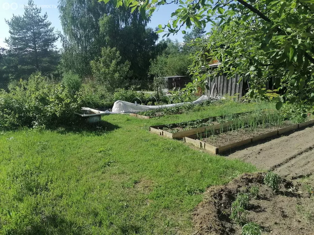 Дом в Псковский район, Торошинская волость, СНТ Ветеран (36 м) - Фото 1