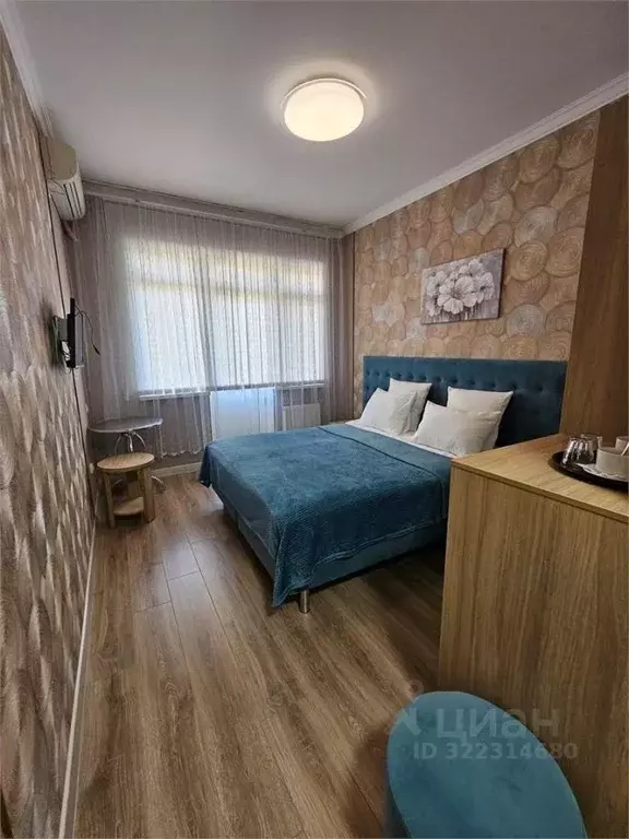 Комната Краснодарский край, Сочи городской округ, Дагомыс пгт ул. ... - Фото 2