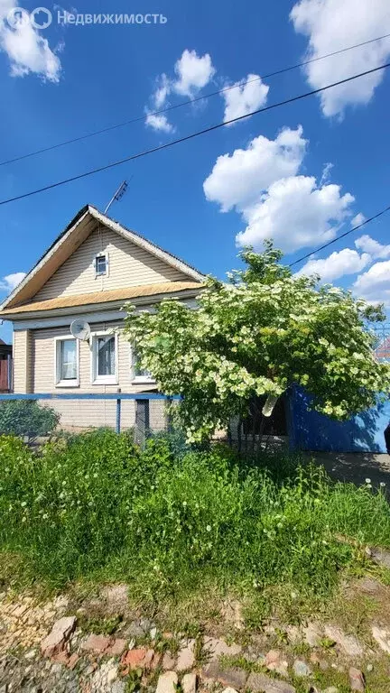 Дом в Ижевск, Оружейная улица, 16 (63.6 м) - Фото 0