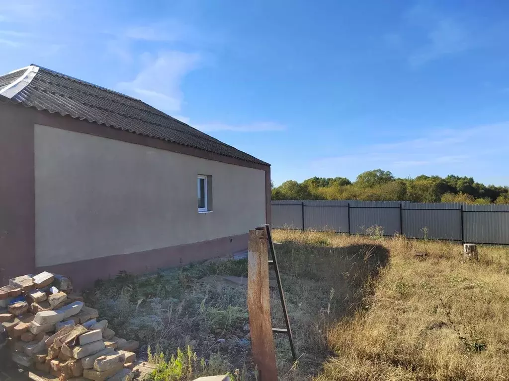 Дом в Липецкая область, с. Хлевное  (65 м) - Фото 1