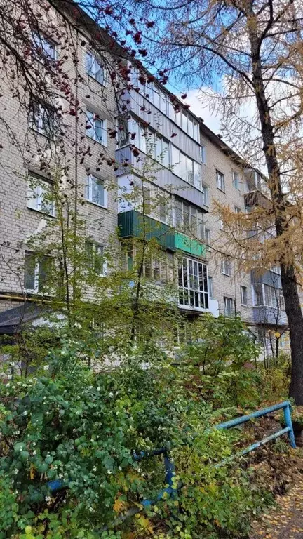 2-к кв. Пензенская область, Пенза ул. Мира, 66 (43.0 м) - Фото 2
