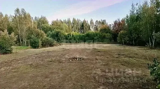 Участок в Костромская область, Костромской район, Бакшеевское с/пос, ... - Фото 2