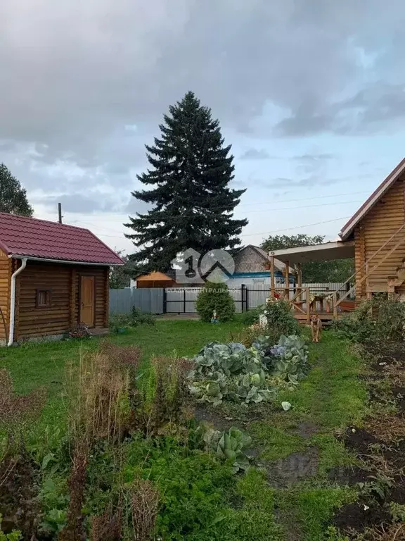 Дом в Новосибирская область, Искитимский район, Березка садовое ... - Фото 2