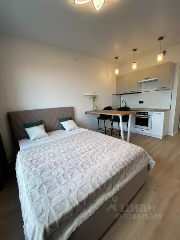 Студия Москва Дорожная ул., 46к3 (20.0 м) - Фото 1