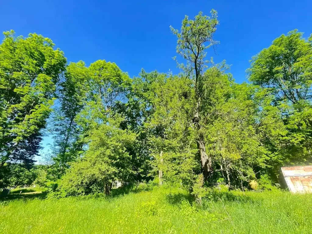 Участок в Адыгея, Майкопский район, Кужорское с/пос  (15.0 сот.) - Фото 2