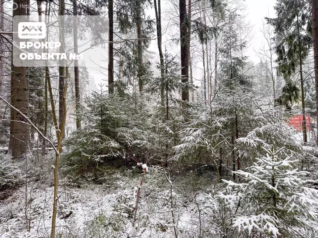 Участок в Зеленогорск, 2-я Лесная улица (9.98 м) - Фото 2