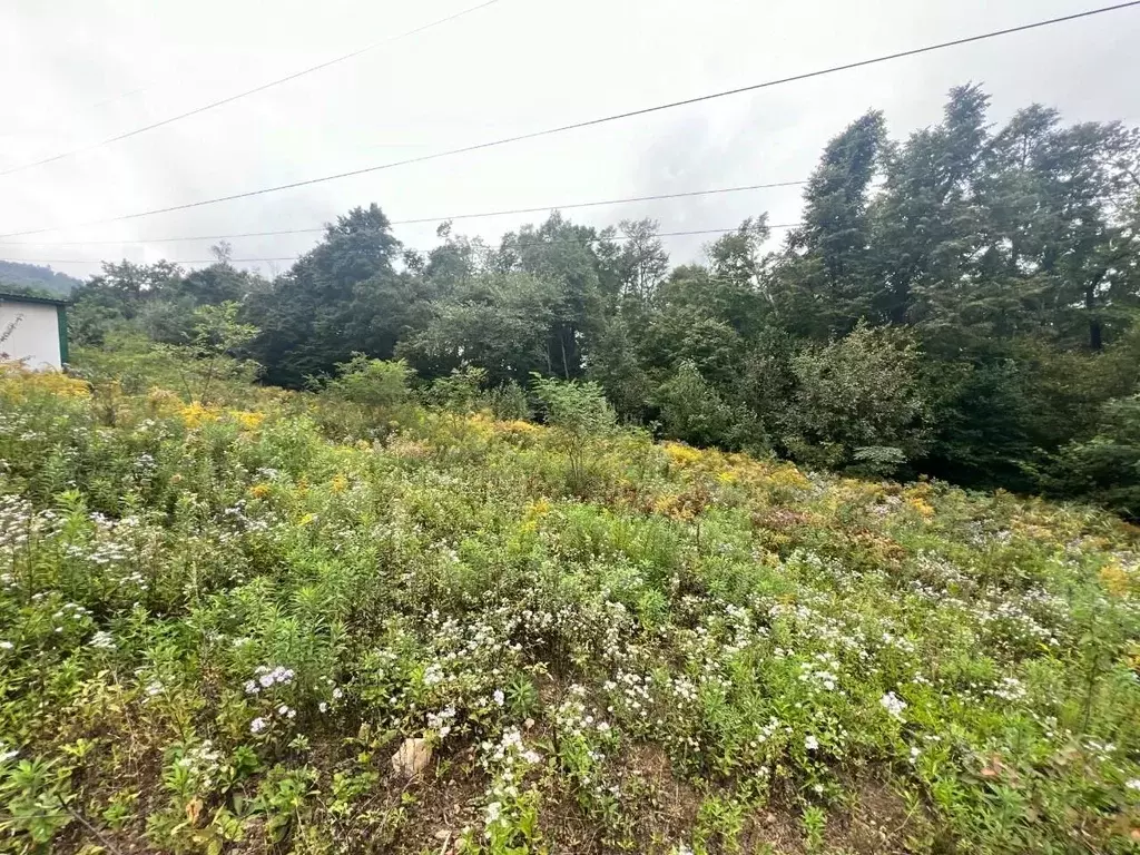 Участок в Приморский край, Владивосток ул. Ясная, 33 (14.0 сот.) - Фото 2
