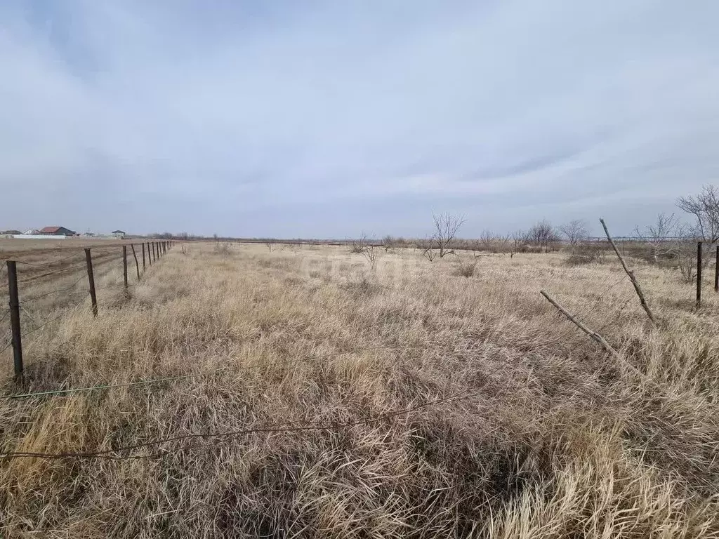 Участок в Волгоградская область, Дубовка ул. Имени Шолохова (6.7 сот.) - Фото 1