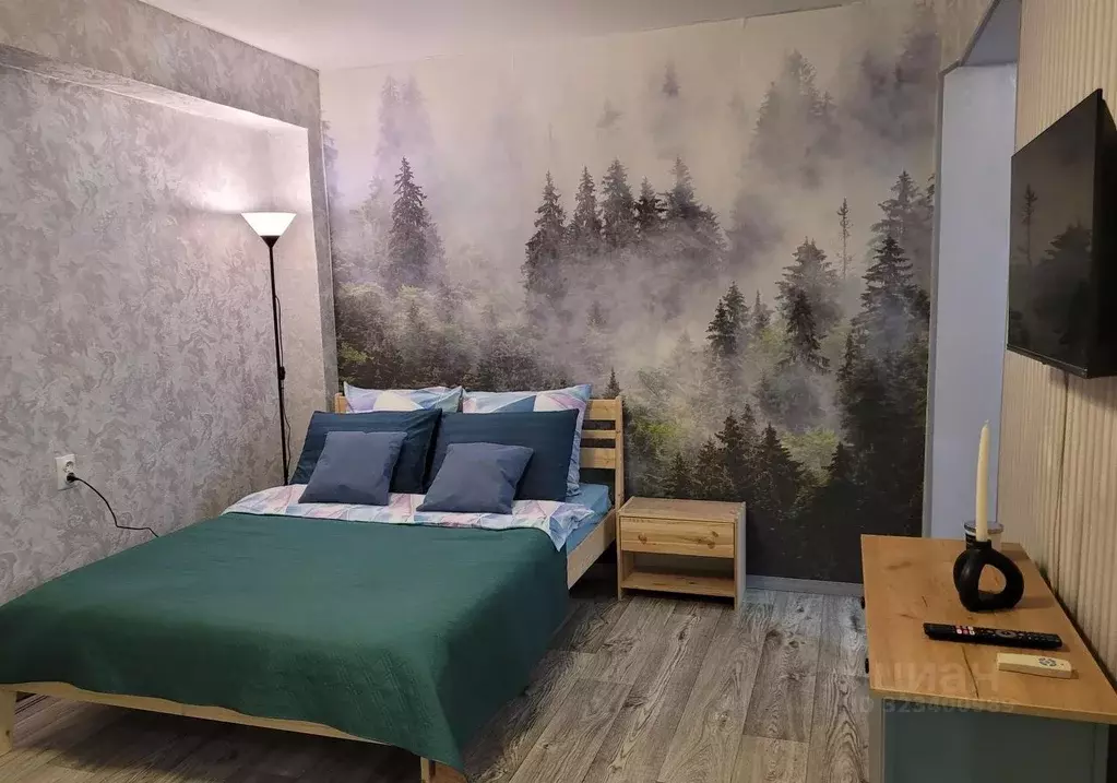 1-к кв. Иркутская область, Байкальск г. Слюдянский район, Байкальское ... - Фото 1