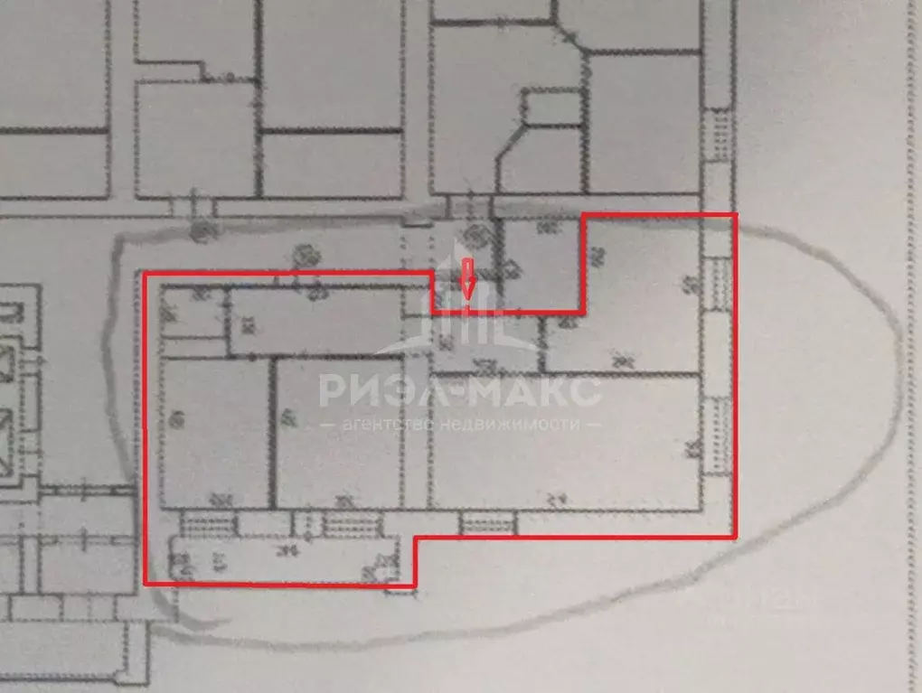 3-к кв. Брянская область, Брянск ул. Дуки, 59/10 (84.0 м) - Фото 2