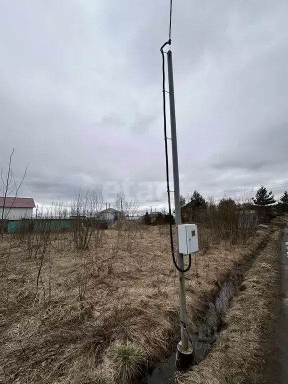 Участок в Карелия, Прионежский район, с. Заозерье  (12.0 сот.) - Фото 1