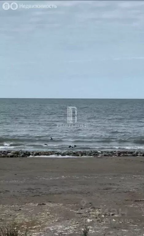 2-комнатная квартира: Махачкала, 3-й тупик Лаптиева, 10 (103 м) - Фото 2