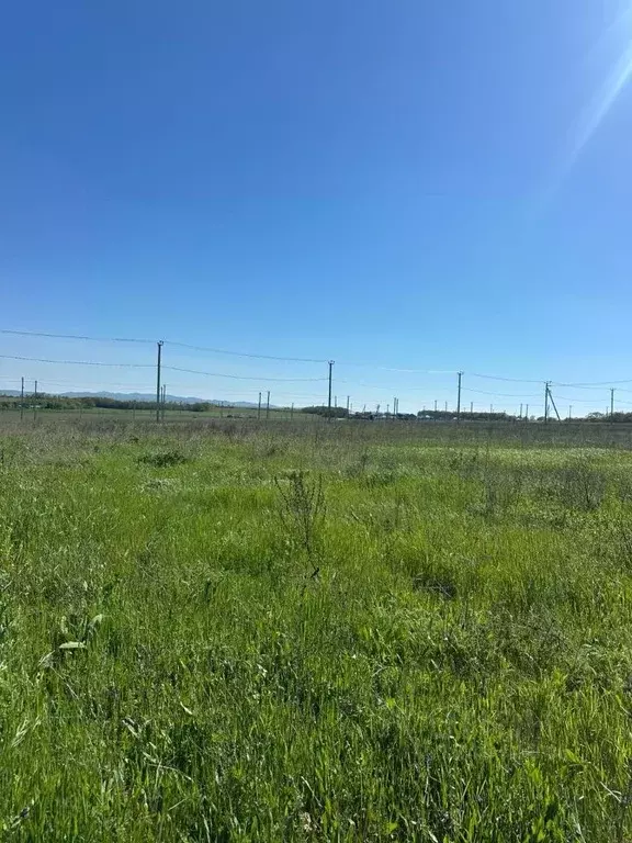 Участок в Краснодарский край, Новороссийск городской округ, ... - Фото 1