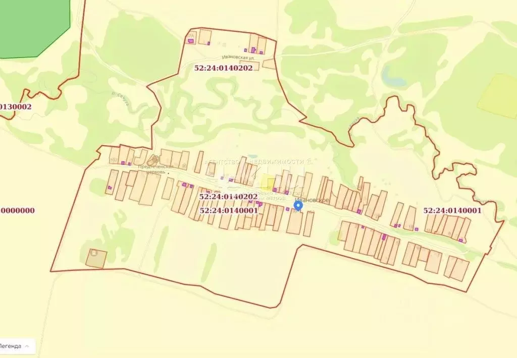 Участок в Нижегородская область, Богородский муниципальный округ, с. ... - Фото 2