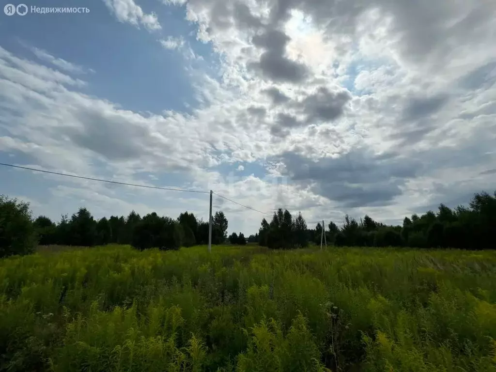 Участок в Нижегородская область, Городецкий муниципальный округ, ... - Фото 1