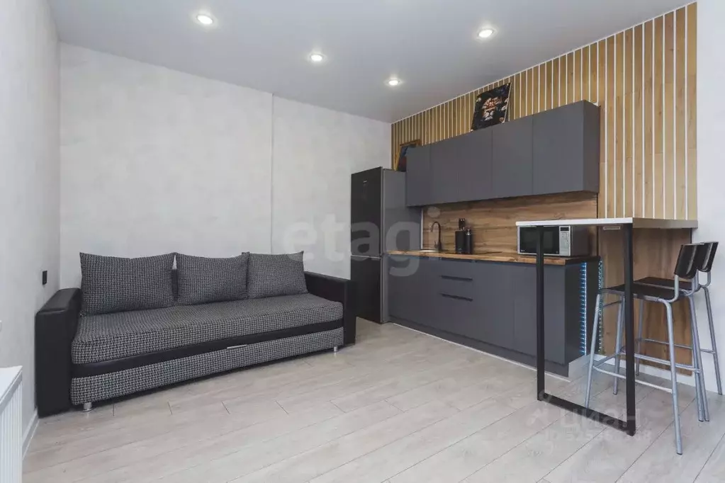 Студия Башкортостан, Уфимский район, с. Михайловка Новоуфимская ул., ... - Фото 2