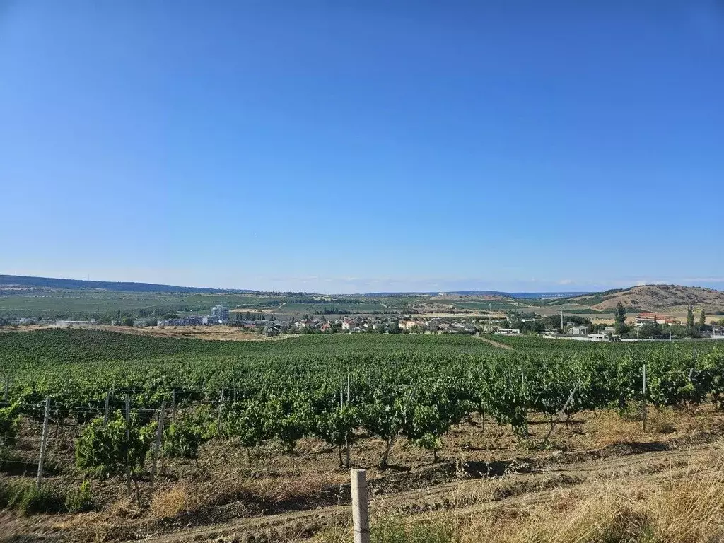 Участок в Севастополь, Севастополь, Балаклава г. Благодатный ... - Фото 1