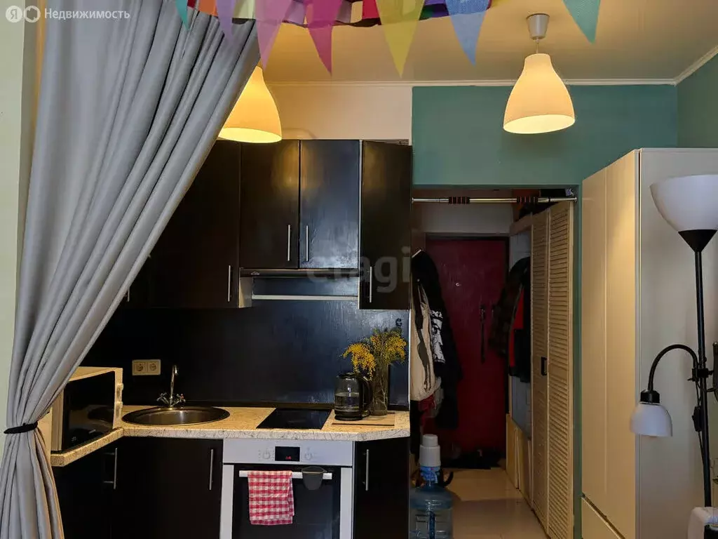 Квартира-студия: село Осиновая Гора, 3-й Восточный проезд, 3 (27.5 м) - Фото 2