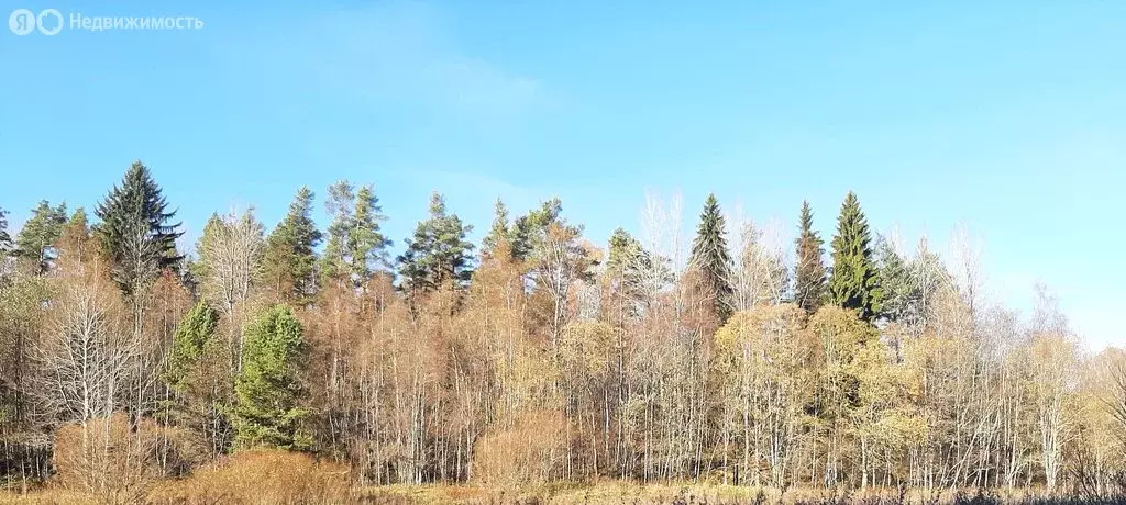 Участок в посёлок Куркиёки, Советская улица (43 м) - Фото 0
