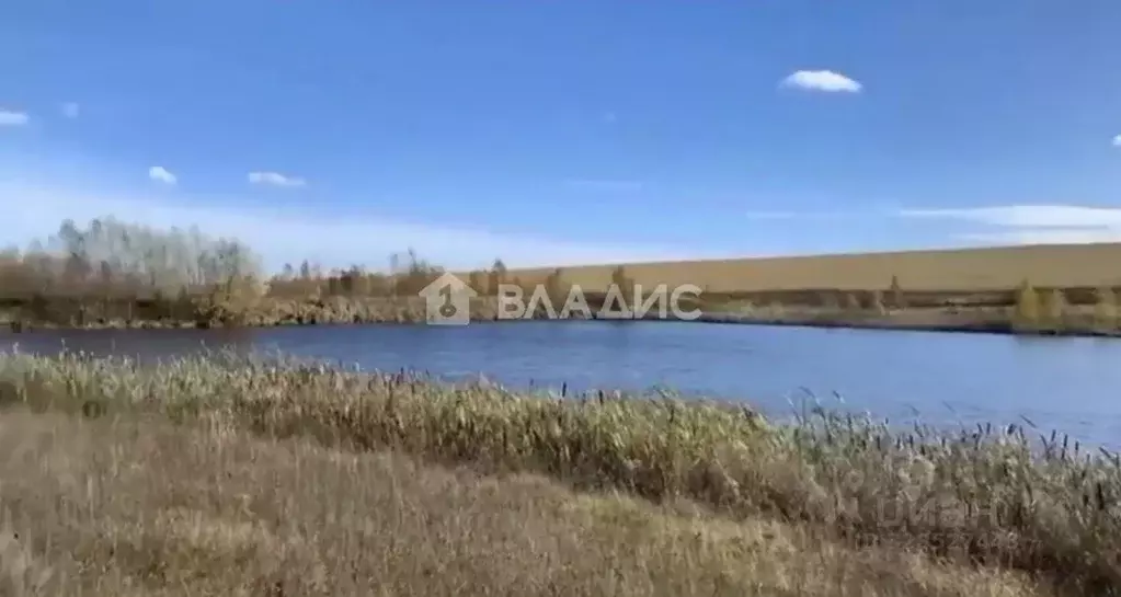 Участок в Нижегородская область, Богородский муниципальный округ, с. ... - Фото 2