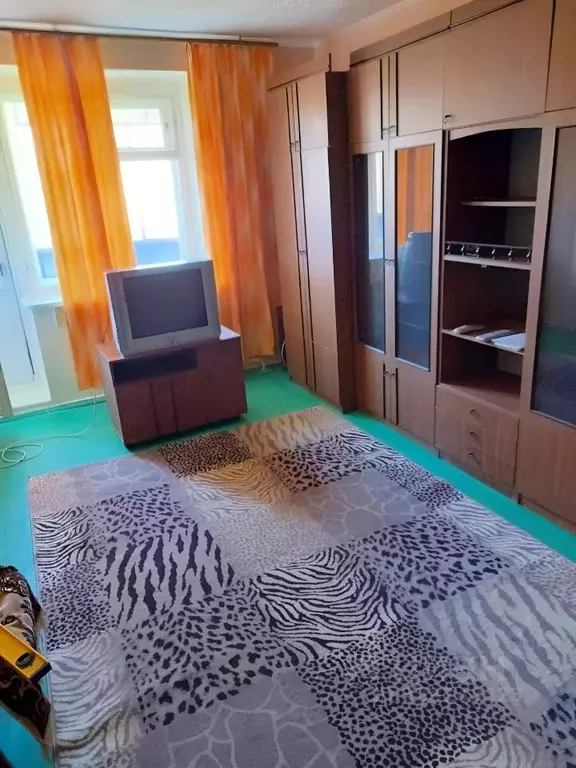 1-к кв. Нижегородская область, Саров ул. Силкина, 42 (33.0 м) - Фото 1