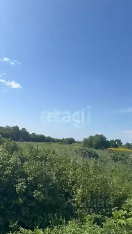 Участок в Сахалинская область, Анивский городской округ, с. ... - Фото 1