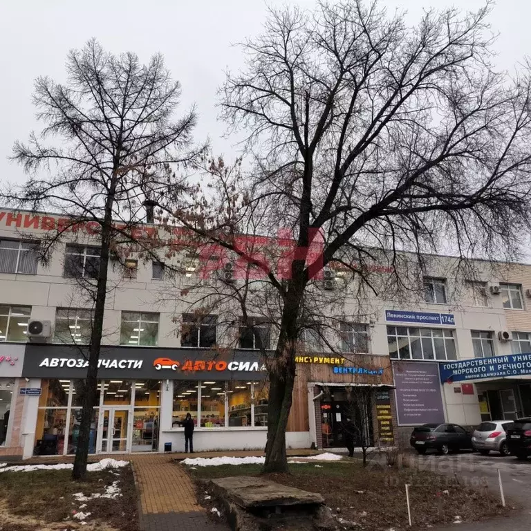 Помещение свободного назначения в Воронежская область, Воронеж ... - Фото 1