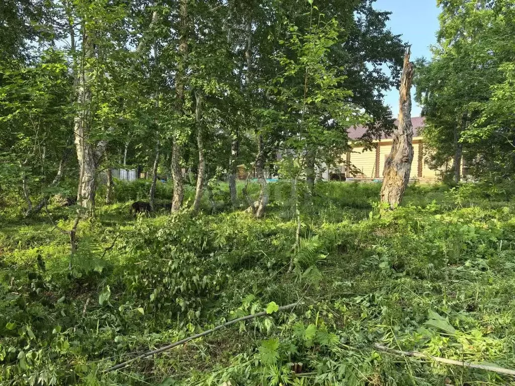 Участок в Камчатский край, Елизовский муниципальный округ, пос. ... - Фото 1