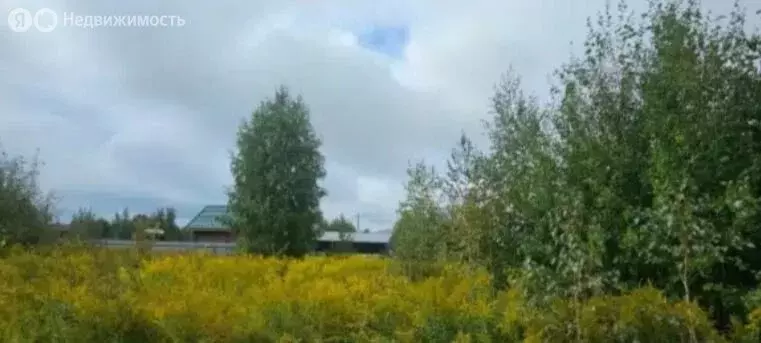 Участок в Новосибирск, микрорайон Пашино, улица Александра Освальда ... - Фото 1