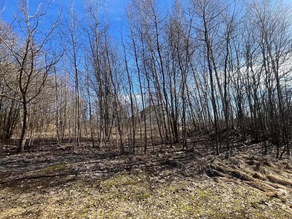 Участок в Московская область, Солнечногорск городской округ, д. ... - Фото 0