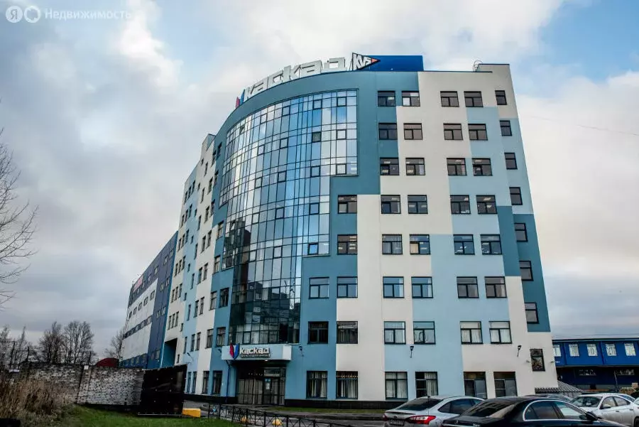 Офис (28.1 м) - Фото 2