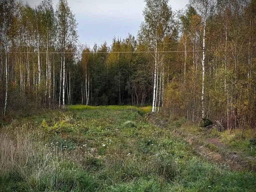 Участок в Новгородская область, Малая Вишера ул. 3-я Парковая (12.0 ... - Фото 1