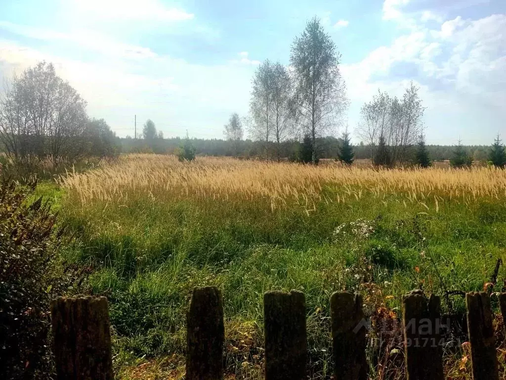 Участок в Ярославская область, Гаврилов-Ямский муниципальный округ, д. ... - Фото 1