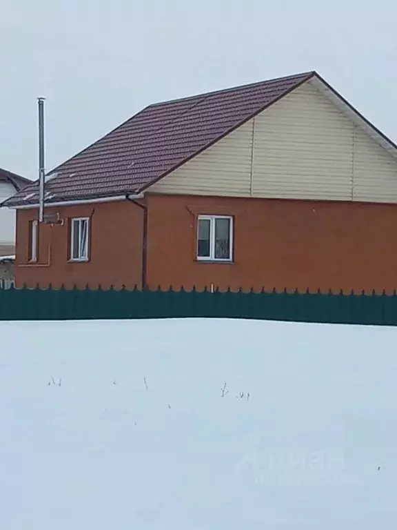 Дом в Омская область, Омский район муниципальный округ, д. Ракитинка ... - Фото 1
