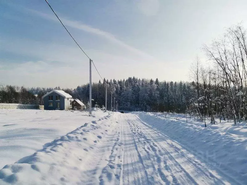 Участок в Московская область, Дмитровский муниципальный округ, Акация ... - Фото 1
