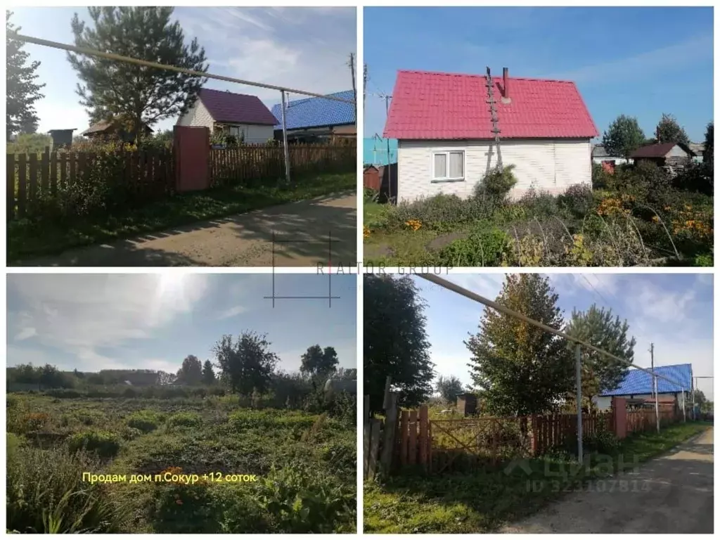 Дом в Новосибирская область, Мошковский район, с. Сокур  (29 м) - Фото 2