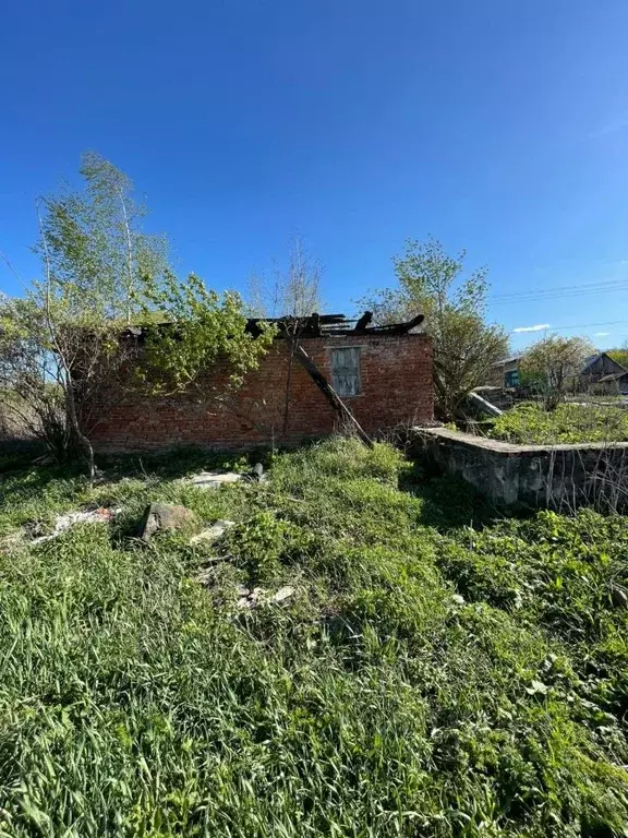 Участок в Тульская область, Ефремовский муниципальный округ, д. ... - Фото 1