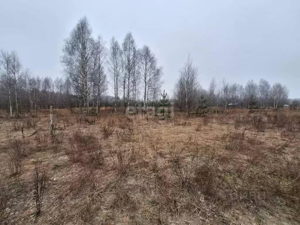 Участок в Владимирская область, Петушинский район, Пекшинское ... - Фото 1