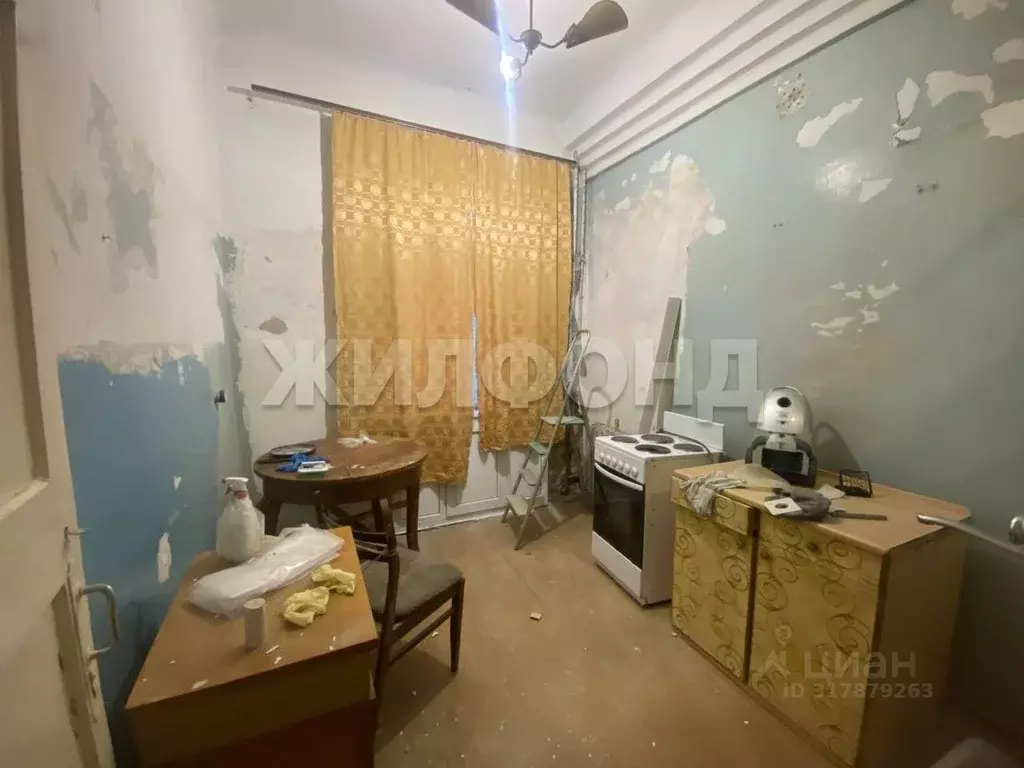2-к кв. Новосибирская область, Новосибирск ул. Александра Невского, 14 ... - Фото 0