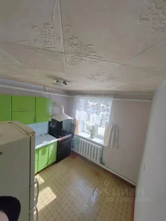 Таунхаус в Башкортостан, Краснокамский район, с. Николо-Березовка ул. ... - Фото 2