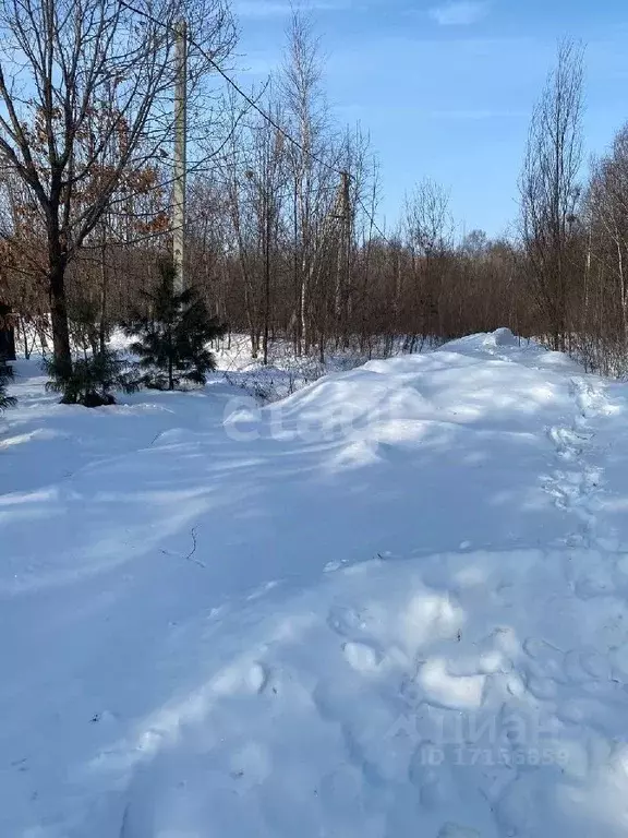 Дом в Хабаровский край, Хабаровский район, с. Бычиха ул. Весенняя, 7 ... - Фото 1