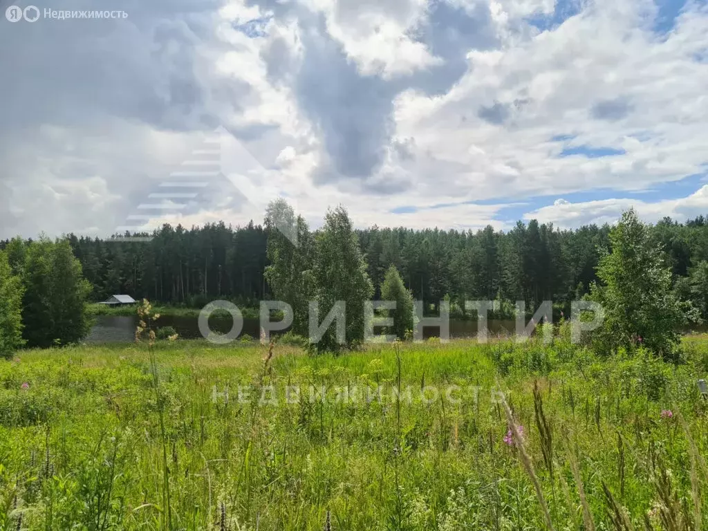 Участок в Свердловская область, муниципальное образование ... - Фото 0